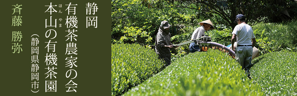 静岡有機茶農家の会 本山の有機茶園（静岡県静岡市） 斉藤 勝弥
