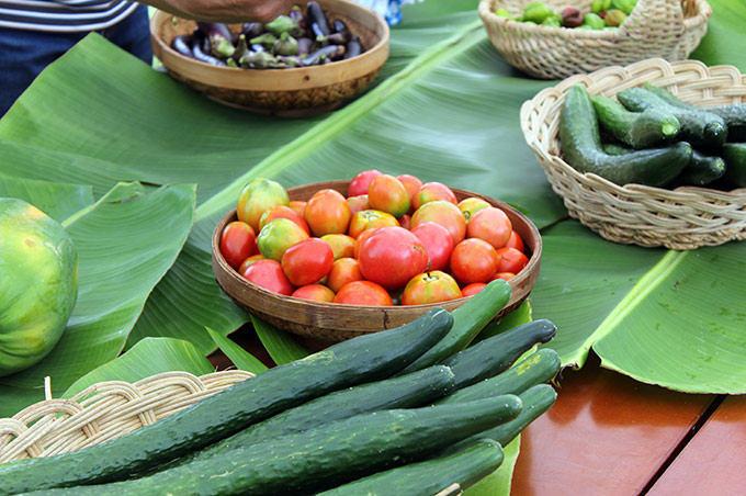 レオパレスファームで栽培される新鮮な野菜