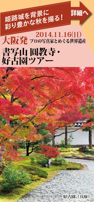 大阪発ツアー プロの写真家とめぐる世界遺産書写山 圓教寺・好古園ツアー