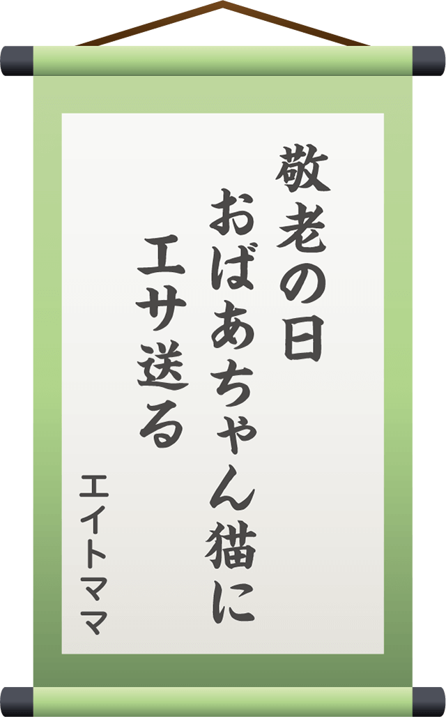 敬老の日　おばあちゃん猫に　エサ送る