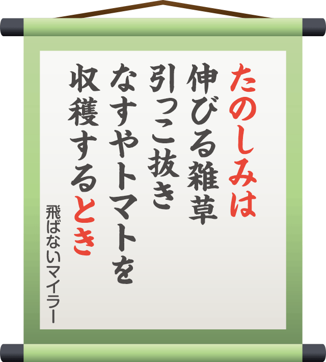 たのしみは 伸びる雑草 引っこ抜き なすやトマトを 収穫するとき　／　飛ばないマイラー