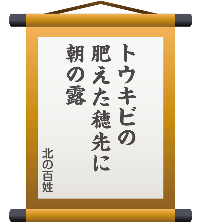 トウキビの 肥えた穂先に 朝の露 ／ 北の百姓