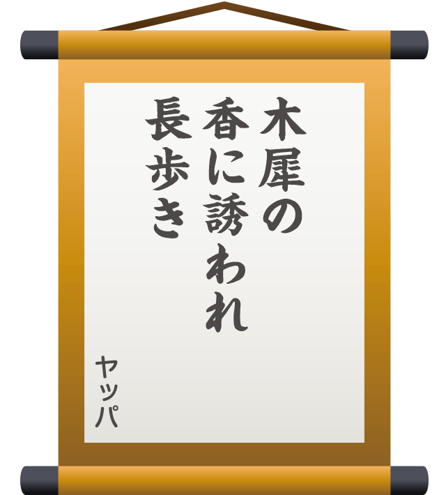 木犀の 香に誘われ 長歩き ／ ヤッパ