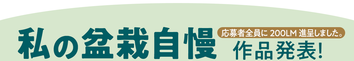 私の盆栽自慢 作品発表！ 200ML進呈