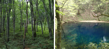 青森県・秋田県