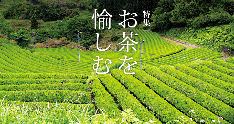 特集:お茶を愉しむ
