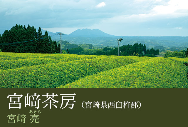 宮﨑茶房(宮崎県西臼杵郡) 宮﨑 亮