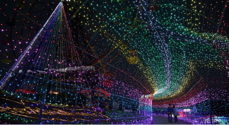 東京ドイツ村(千葉県)ウィンターイルミネーション