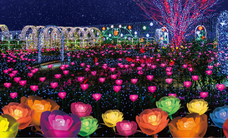 あしかがフラワーパーク（栃木県）「光の花の庭」