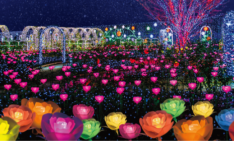 あしかがフラワーパーク(栃木県)「光の花の庭」