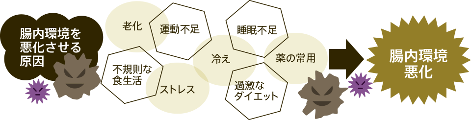 腸内環境を悪化させる原因