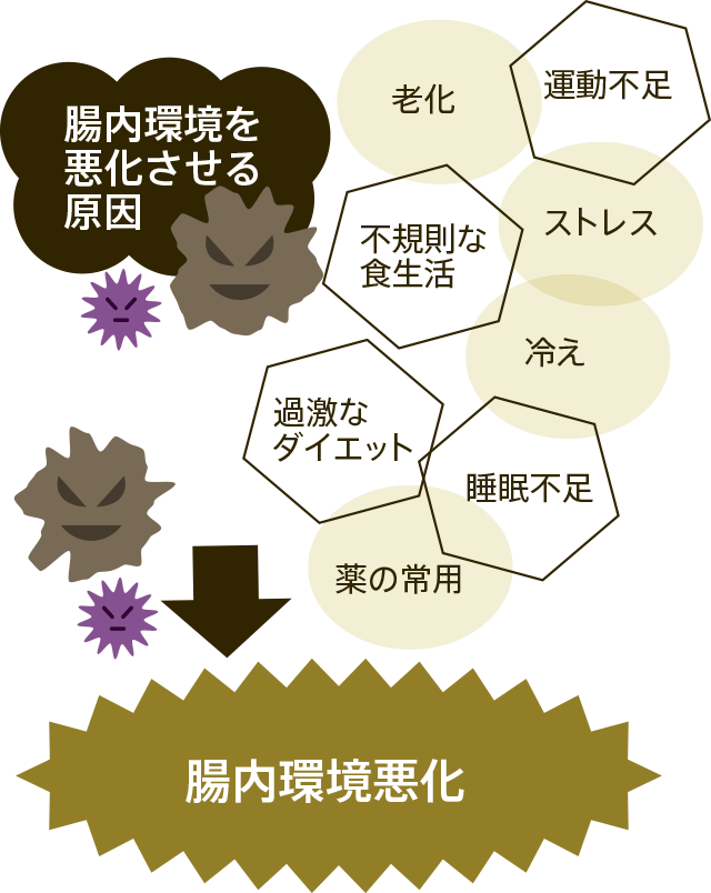 腸内環境を悪化させる原因