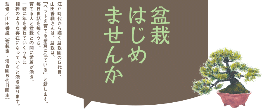 盆栽はじめませんか