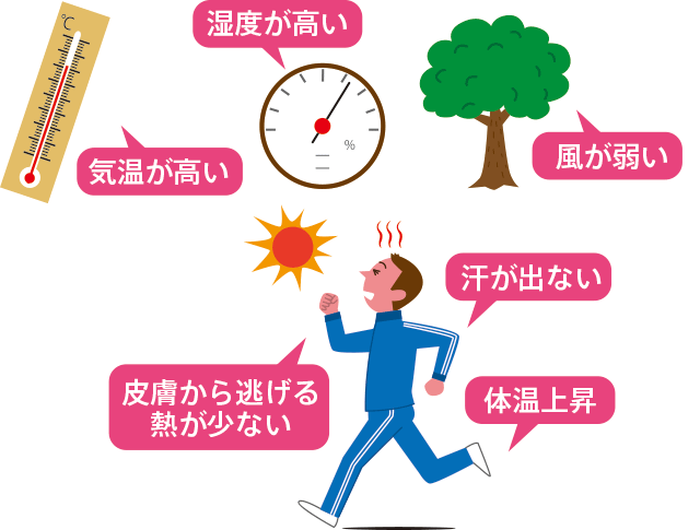 腸内環境を悪化させる原因