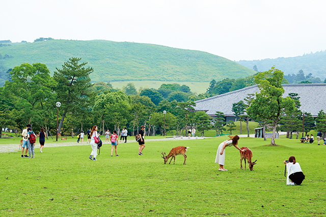 奈良公園