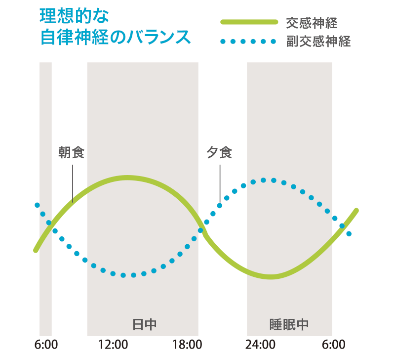 理想的な自律神経のバランス