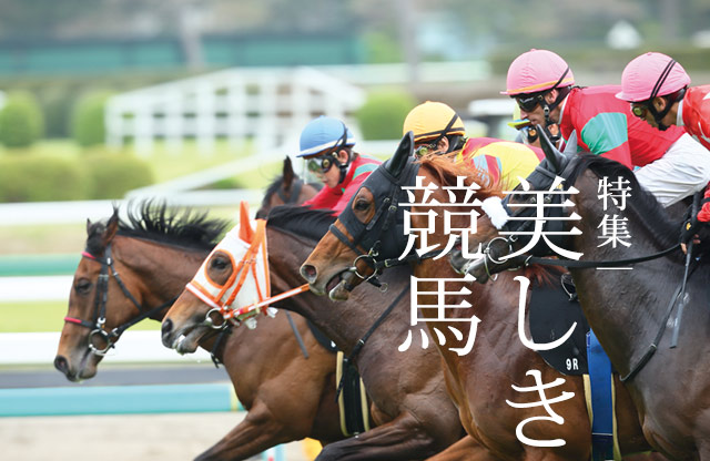 特集：美しき競馬