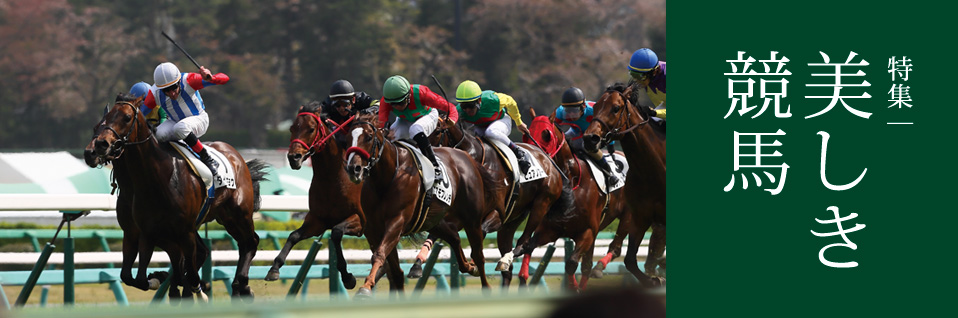 特集：美しき競馬