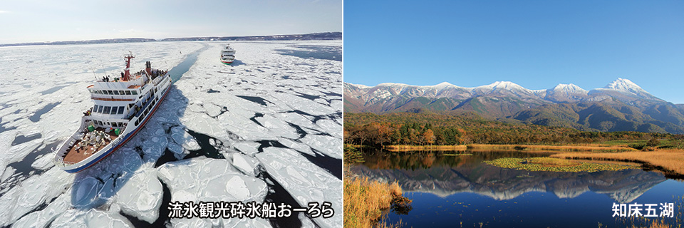 感動自然体験！知床たっぷり満喫4日間