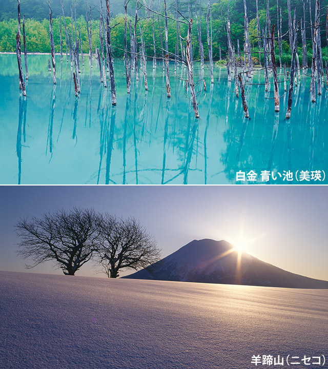 北海道フリープラン3日間