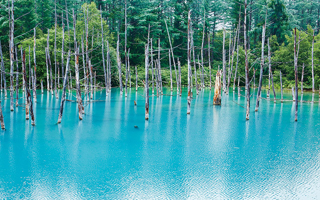 特集 絶景 北海道 絶景10選 暮らしをお得に もっと楽しく ウェブマガジン クラス エル レオパレス21のオーナー様向け会員組織